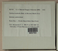 Image Associated With the Occurence